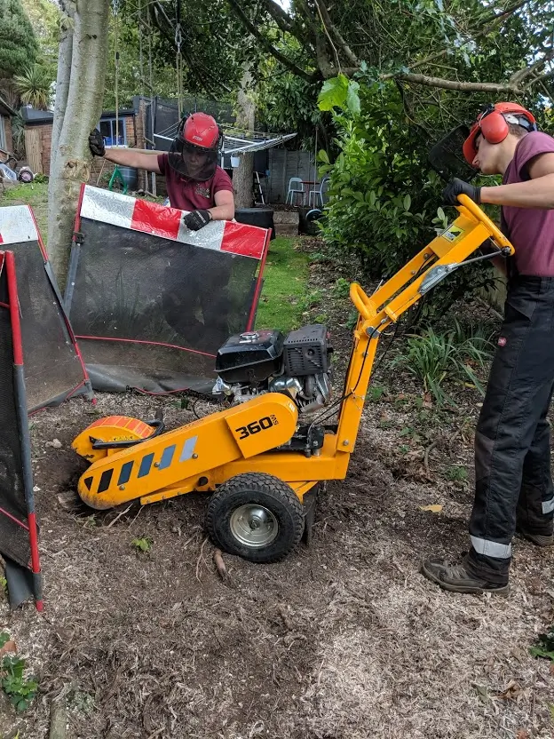 Stump grinding in a Brighton garden