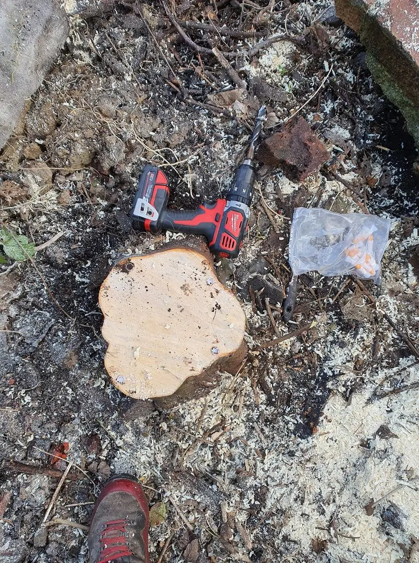 Stump grinding in a Brighton garden